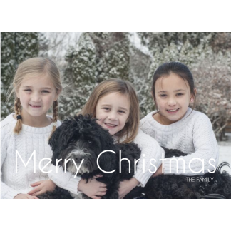 merry christmas photo card