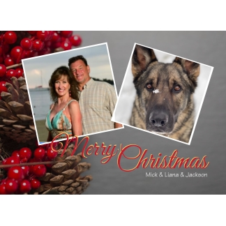pincone christmas photo card