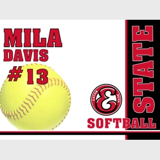 EATON SOFTBALL YARD SIGN