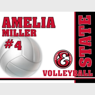 eaton high school volleyball yard sign