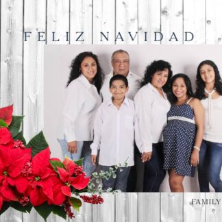 feliz navidad photo card