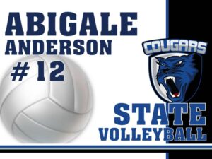 RCS VOLLEYBALL STATE YARD SIGN