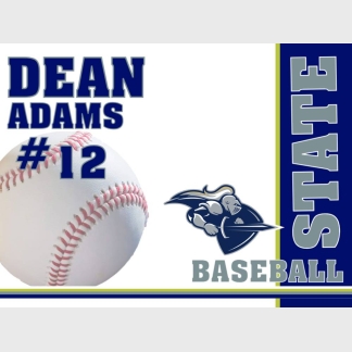 Severance High School BASEBALL YARD SIGN