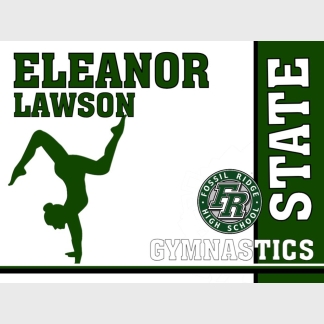 Fossil Ridge High School Gymnastics