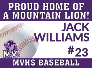 Mountain View High School Baseball yard sign