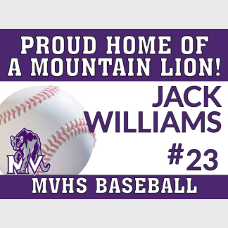 Mountain View High School Baseball yard sign