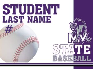 Mountain View High School Baseball yard sign