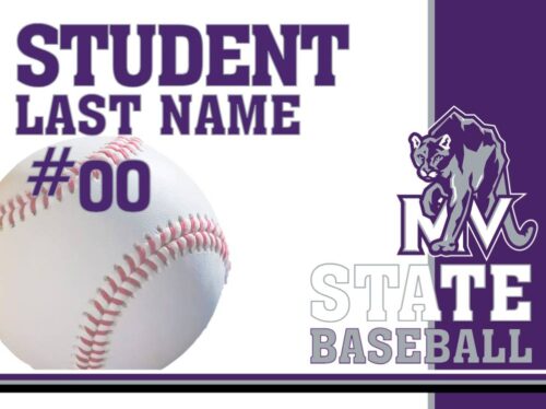 Mountain View High School Baseball yard sign