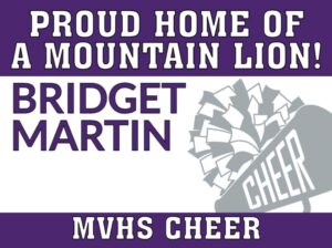 Mountain View High School Cheer