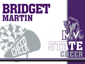 mountain view high school cheer