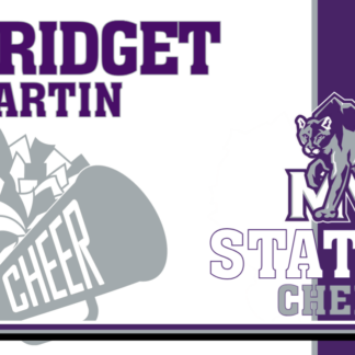 mountain view high school cheer