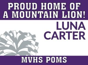 Mountain View High School Poms