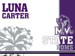 mountain view high school poms