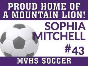 Mountain View High School Soccer