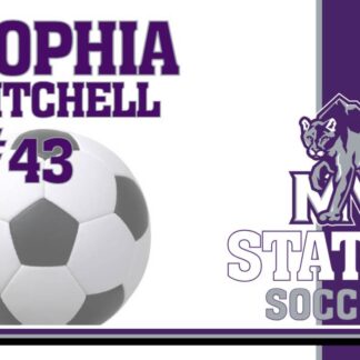 mountain view high school soccer