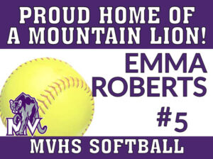 Mountain View High School Softball yard sign