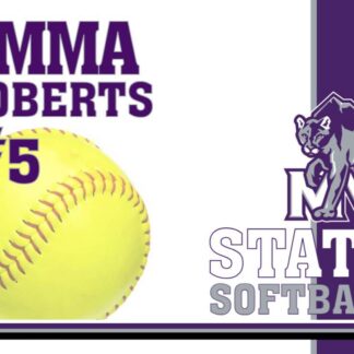 mountain view high school softball