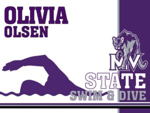 mountain view high school swimming