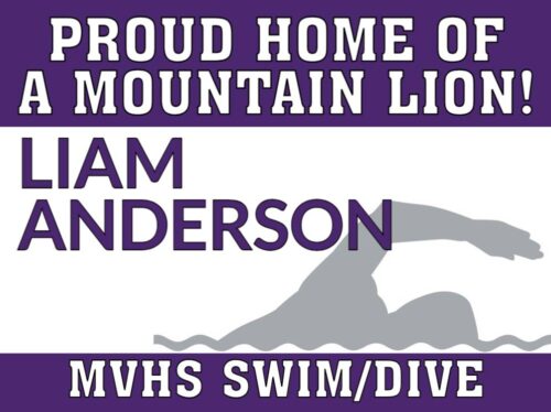 Mountain View High School Swim and Dive
