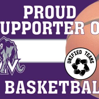 mountain view high school unified basketball