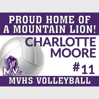 Mountain View High School Volleyball yard sign