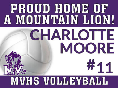 Mountain View High School Volleyball yard sign