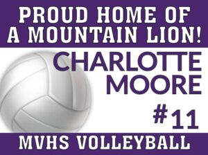 Mountain View High School Volleyball