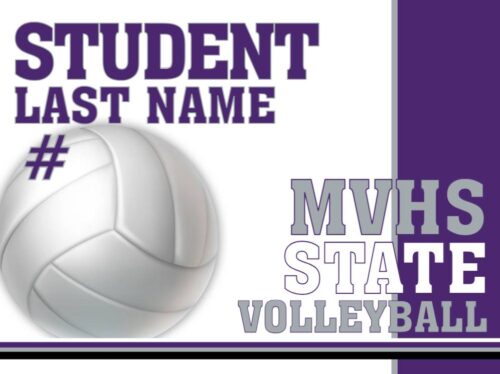 Mountain View High School Volleyball