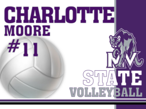 mountain view high school volleyball