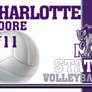 mountain view high school volleyball