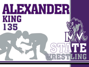 mountain view high school wrestling