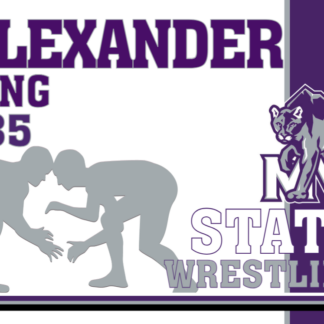 mountain view high school wrestling