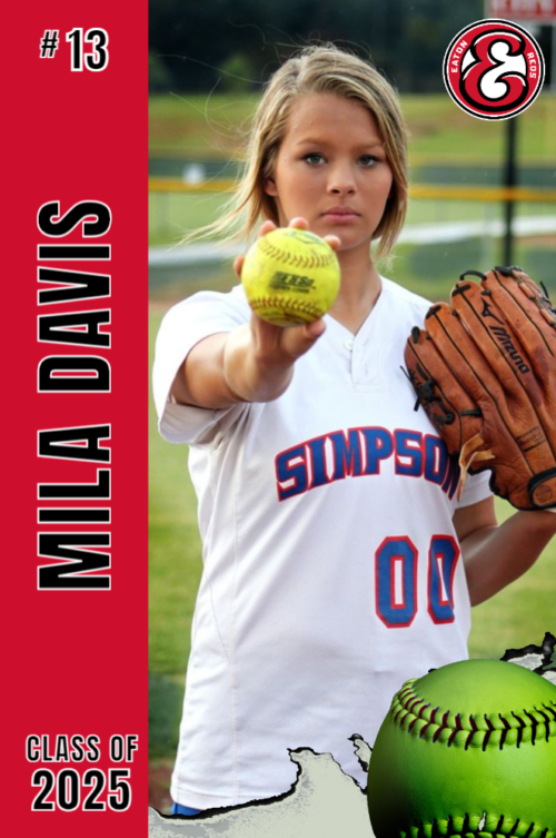 Eaton High School softball banner