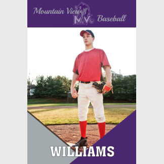 Mountain View High School Baseball banner