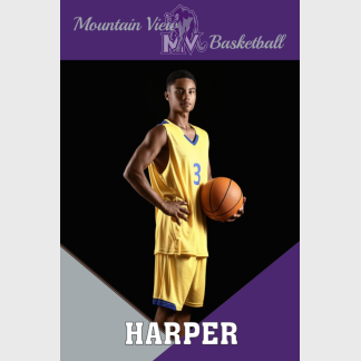 Mountain View High School Basketball banner
