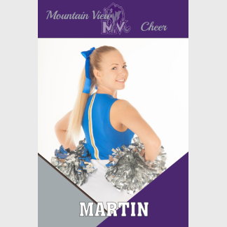 Mountain View High School Cheer banner