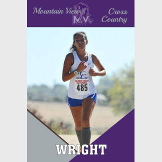Mountain View High School Cross Country banner