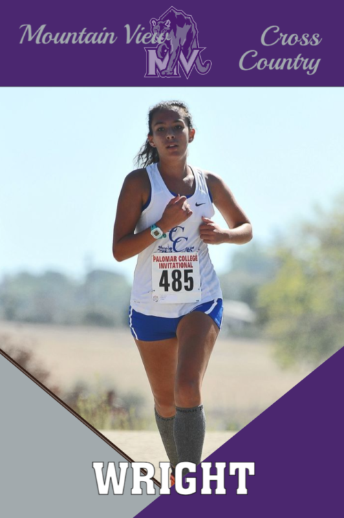 Mountain View High School Cross Country banner