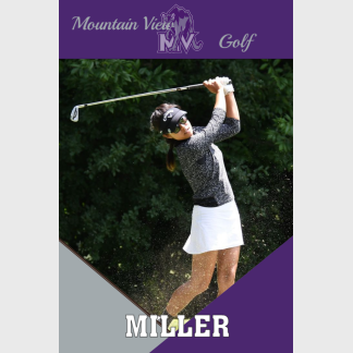 Mountain View High School Golf banner