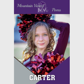Mountain View High School Poms banner