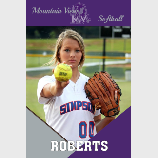 Mountain View High School Softball banner