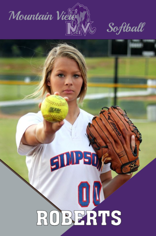 Mountain View High School Softball banner