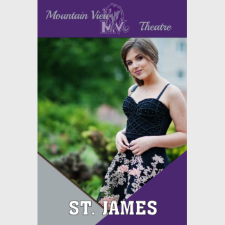 Mountain View High School theatre banner