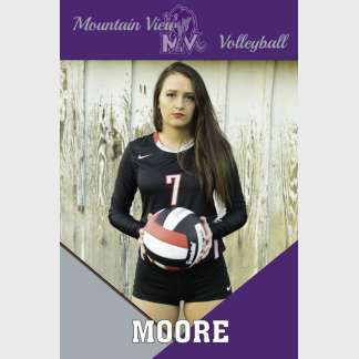 Mountain View High School Volleyball banner