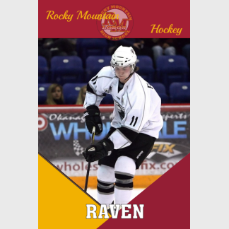 Rocky Mountain High School Hockey banner