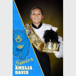 Timnath Middle High School Band banner