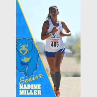 Timnath Middle High School Cross Country banner
