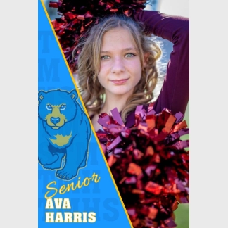 Timnath Middle High School Poms banner