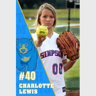 Timnath Middle High School Softball banner
