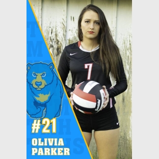 Timnath Middle High School Volleyball banner